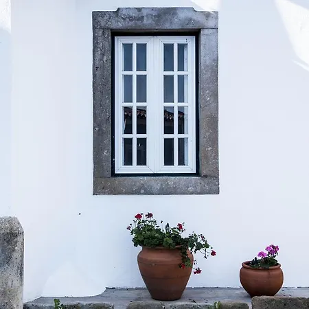 Βίλα Casa Do Poeta Venutra Bombarral